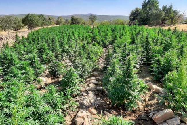 PKK terör örgütünün finansman kaynağı kurutuluyor