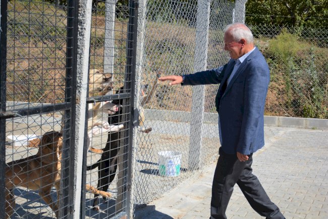 Başkan Yılmaz’dan vatandaşlara çağrı  “CAN DOSTLARIMIZI SAHİPLENİN” (05.10.2022)