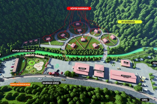 EYÜPSULTAN BELEDİYESİ’NDEN ÖRNEK PROJE  BAŞIBOŞ HAYVANLAR İÇİN BARINAK PROJESİ HAZIR