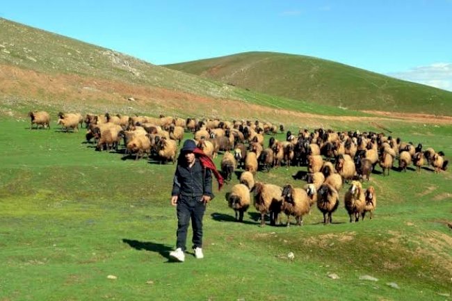 Son başvuru tarihi 13 Ocak