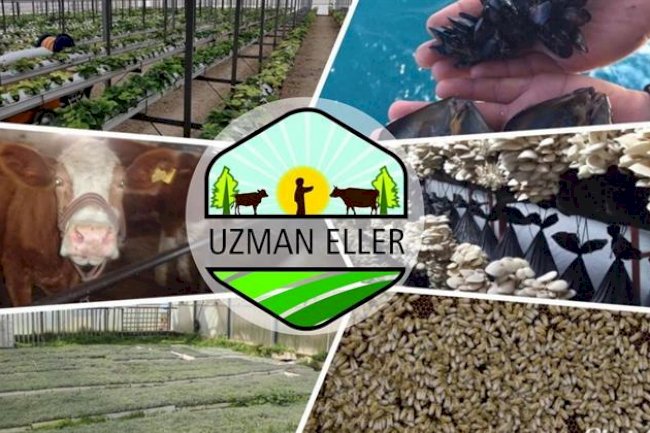BAŞVURULAR BAŞLADI