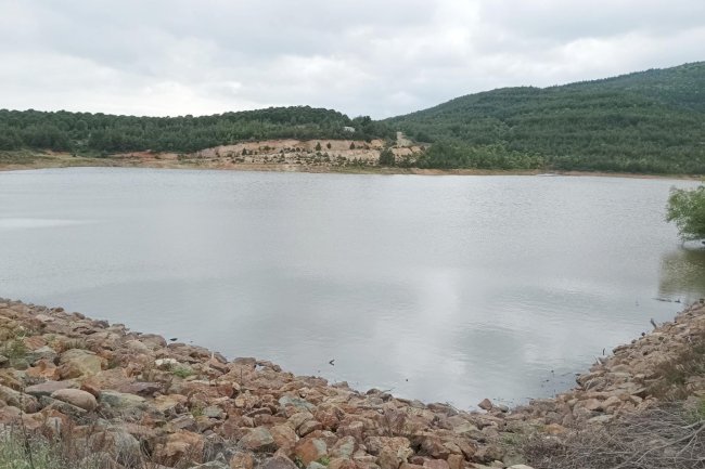 Yenice’de Balık Avcılığı Yasağı Duyuruldu!