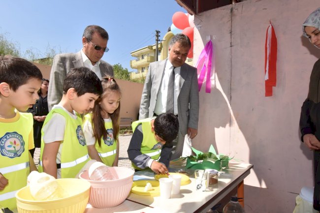 Bilim Şenliği Düzenlendi