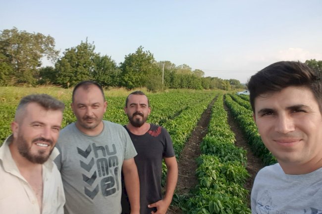 Biga’da tarla ziyaretleri sürüyor