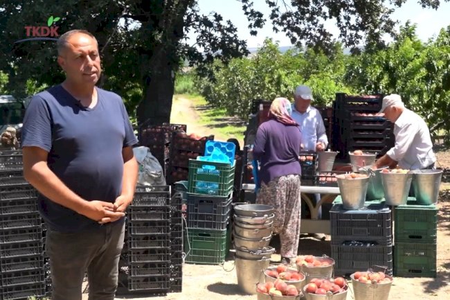 Lapsekili yatırımcını projesi desteklendi