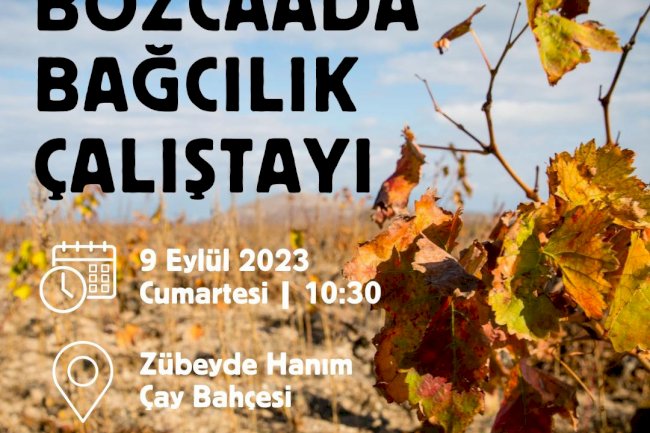 Bozcaada’da “Bağcılık Çalıştayı” düzenlenecek