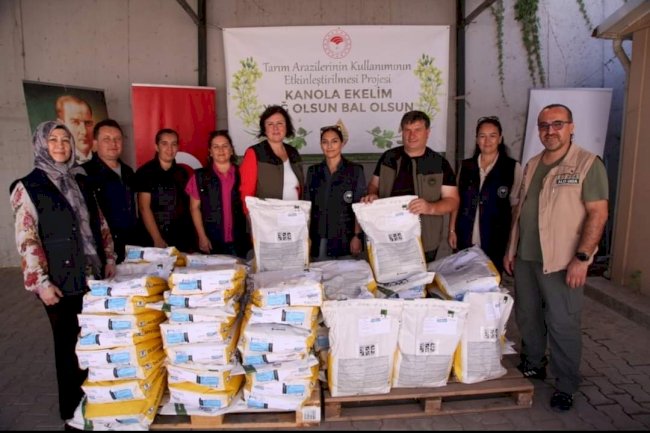 Çan’da üreticilere kanola tohumu dağıtıldı  