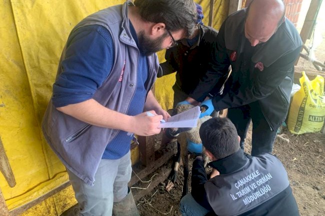Aşının etkinliği ölçüldü