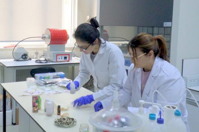 Çevreye ve gıdaya dost ambalaj üretildi