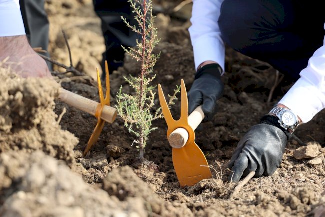 Uludağ Elektrik’ten ağaçlandırma seferberliği