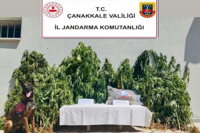 Uyuşturucu operasyonu düzenlendi