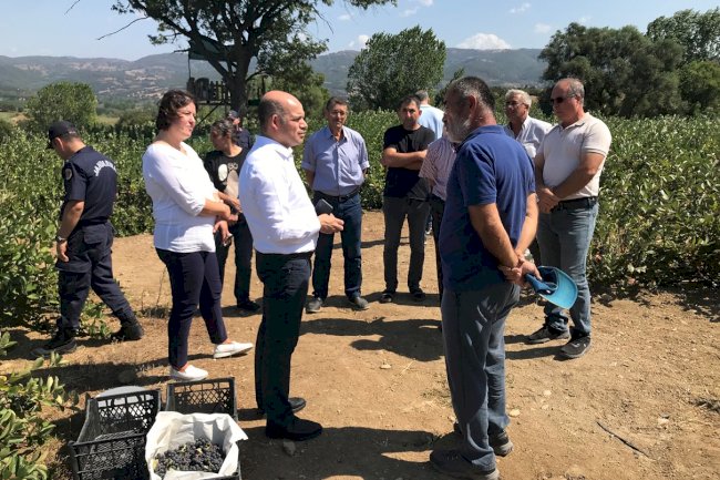 Kaymakam Nebioğlu Aronya bahçelerini inceledi