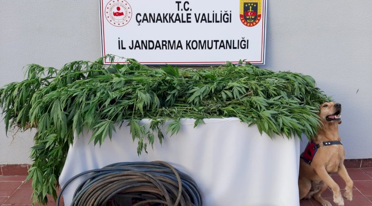 Biga’da uyuşturucu operasyonu 