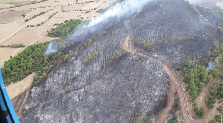 Gelibolu’da orman yangını söndürüldü