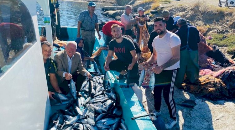 Lapseki’de palamut balığı bolluğu 