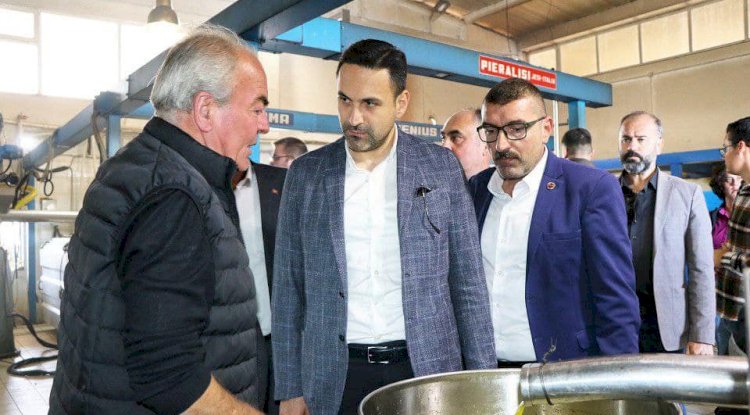 “ZEYTİN HASATI BEREKETLİ OLSUN