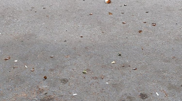 “Yetkililer duruma el atmalı” (16.11.2022)