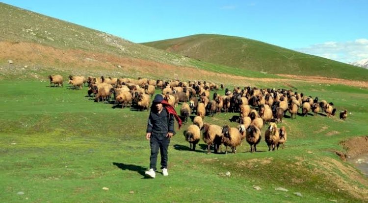 Son başvuru tarihi 13 Ocak