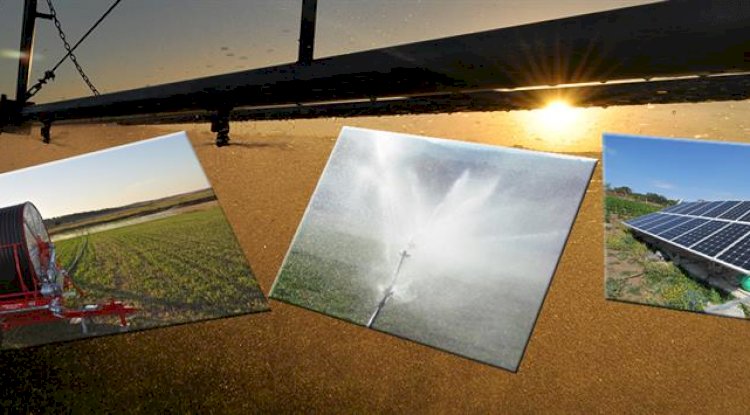 P hibe desteklemeleri başladı