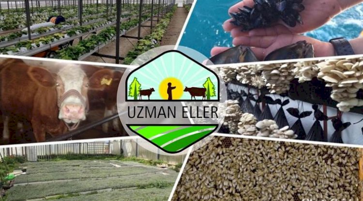 BAŞVURULAR BAŞLADI