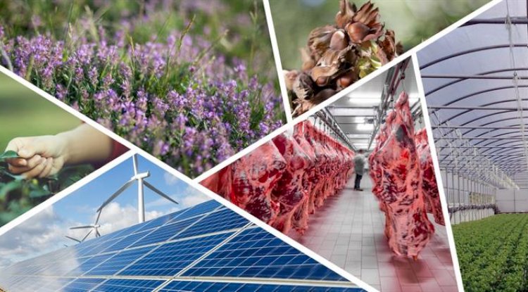 733 PROJENİN BAŞVURUSU ONAYLANDI