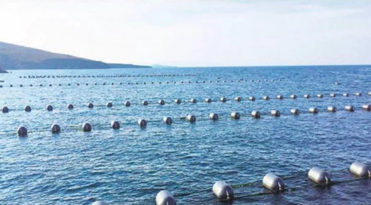 Çanakkale’de Yedinci Midye Üretim Tesisi Faaliyete Geçti
