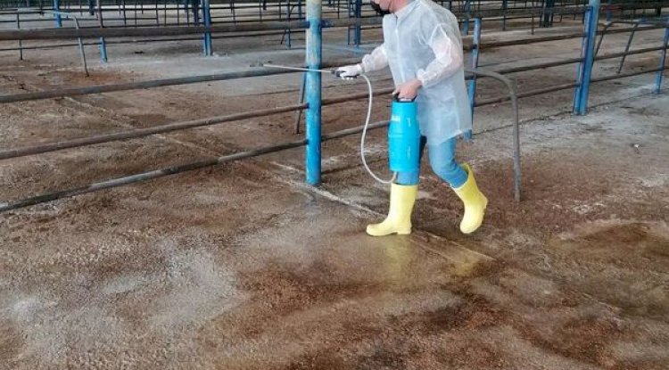 Biga Kurban Bayramı’na Hazırlanıyor