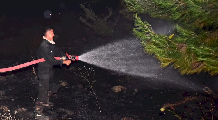 Çan Belediyesi ekipleri yangın bölgesine destek oluyor