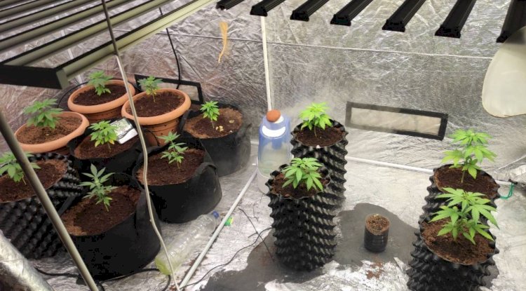 Ayvacık ve Gökçeada’da uyuşturucu operasyonu; 4 tutuklama