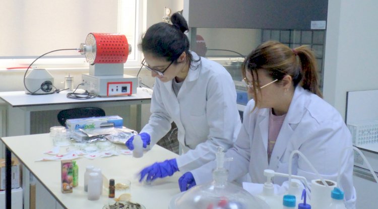 Çevreye ve gıdaya dost ambalaj üretildi