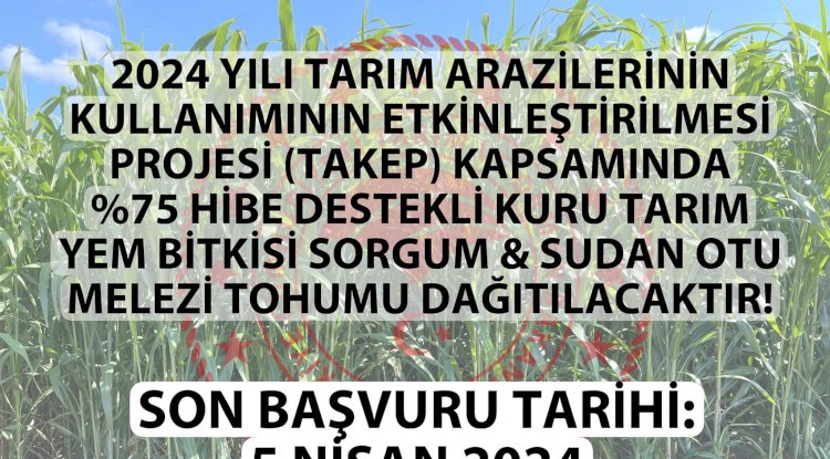 Kuru tarım yem bitkisi sorgum ve sudan otu melezi tohumu dağıtılacak