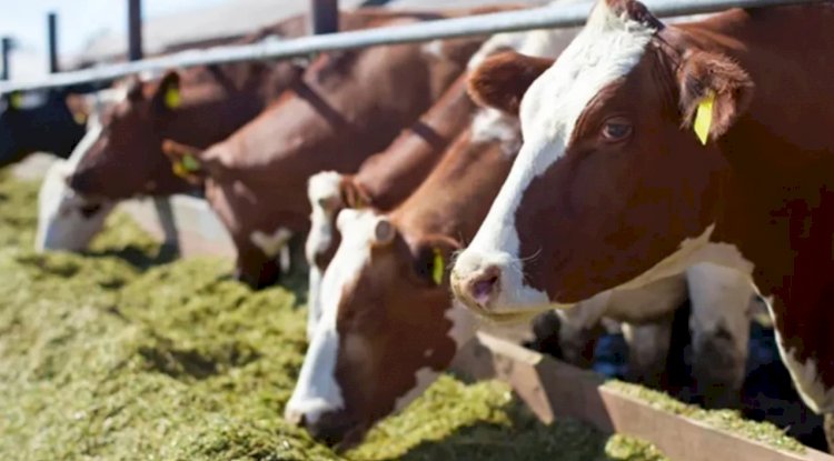 ÜRETİCİLERE DUYURU