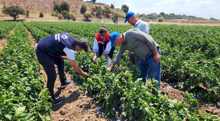 Kumkale Köyü'nde üreticilerin taleplerini dinledi