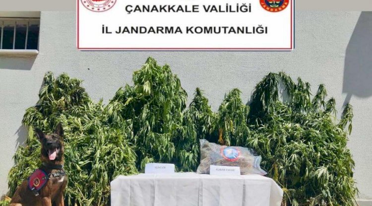 Uyuşturucu operasyonu düzenlendi