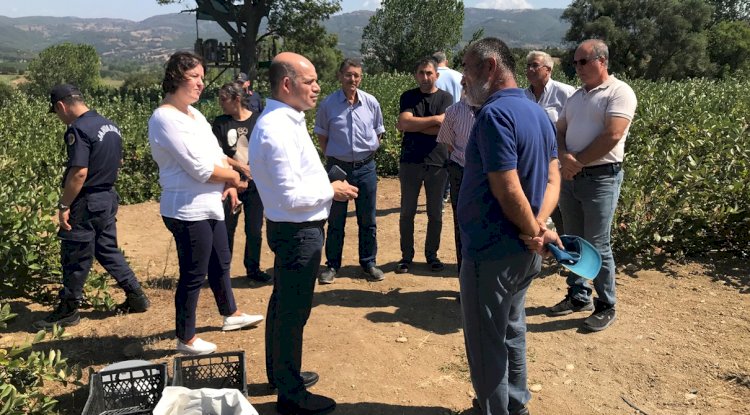 Kaymakam Nebioğlu Aronya bahçelerini inceledi