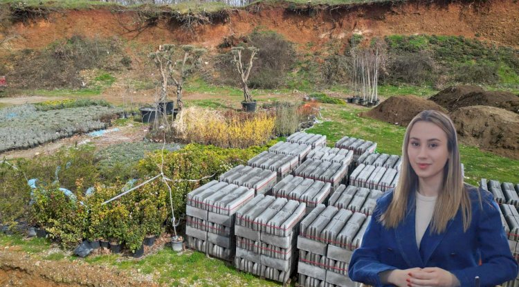 Kalkım’da Olukpınar Göleti Çevresine Yeni Mesire Alanı Yapılıyor