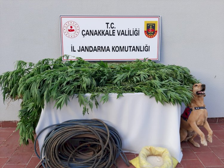 Biga’da uyuşturucu operasyonu 