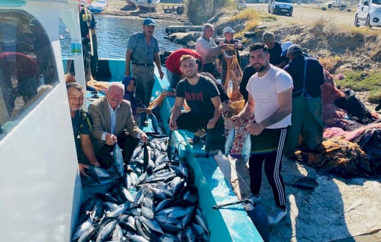 Lapseki’de palamut balığı bolluğu 