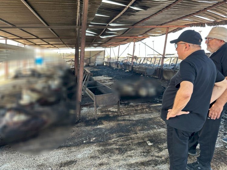 Gider; “Devletimiz üzerine düşeni yapacaktır”