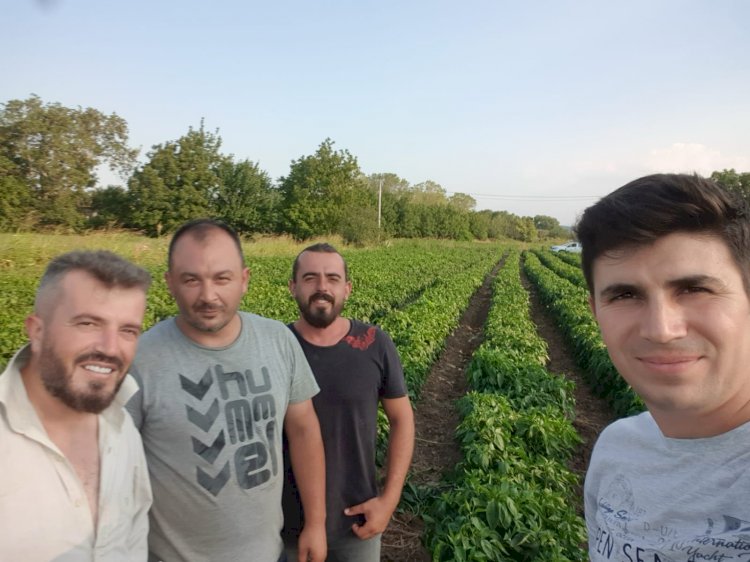 Biga’da tarla ziyaretleri sürüyor