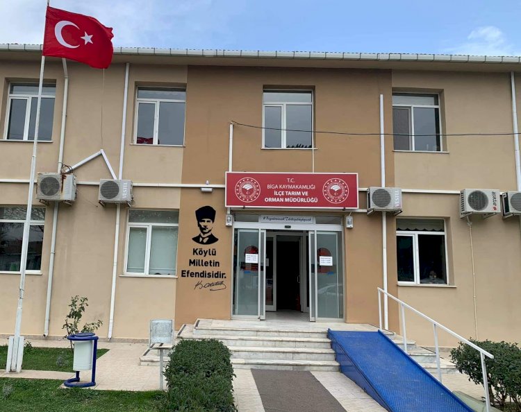 İtalyan çim tohumu dağıtımları sürüyor