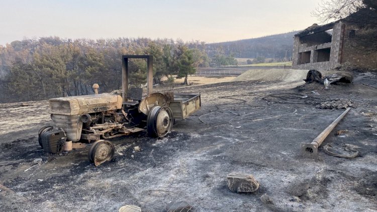 Çanakkale yangınında zarar görenlere destek