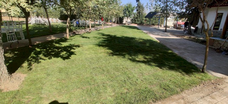 Park Yenice’de çim zemin yenilendi