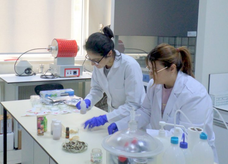 Çevreye ve gıdaya dost ambalaj üretildi