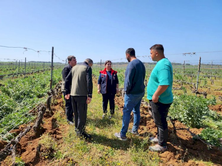 Türkarslan, tarım alanlarını inceledi