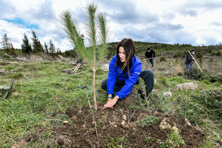 Enerjisa Üretim 1 milyonu aşkın fidan dikiyor