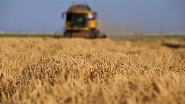 Biçerdöver ile ürün hasadında yangın tehlikesine karşı önemli uyarı