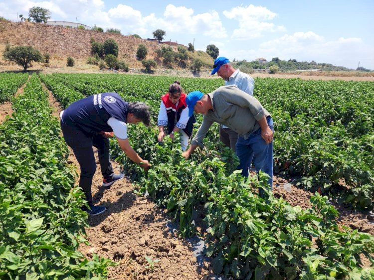 Kumkale Köyü'nde üreticilerin taleplerini dinledi