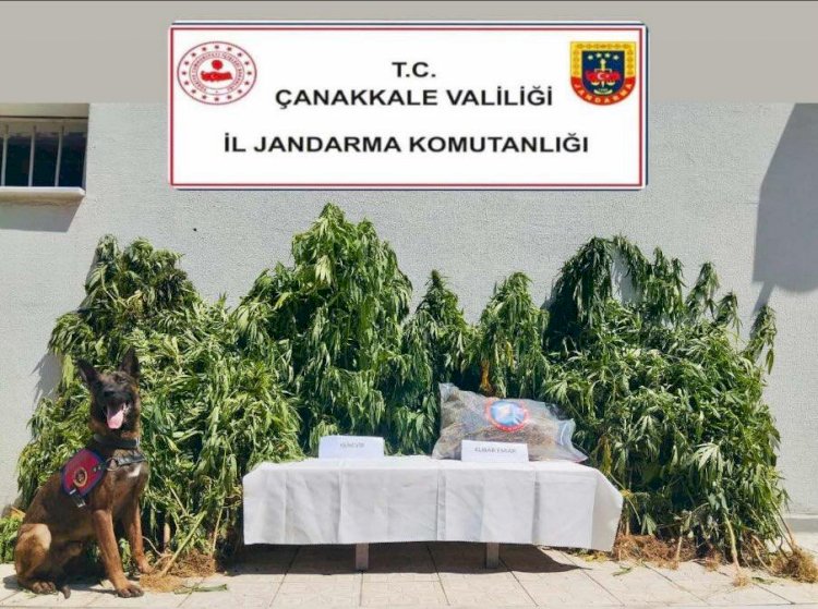 Uyuşturucu operasyonu düzenlendi